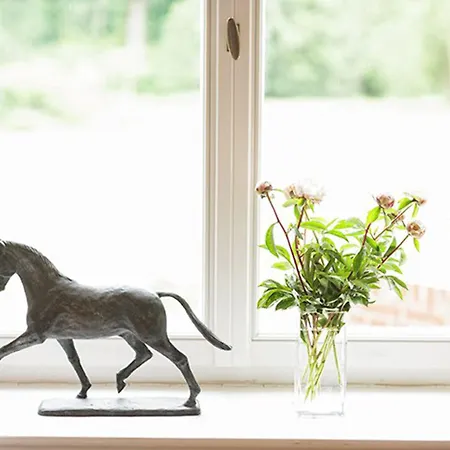 Schloss Gamehl Отель Бенц